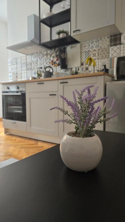 Apartment Major - 5