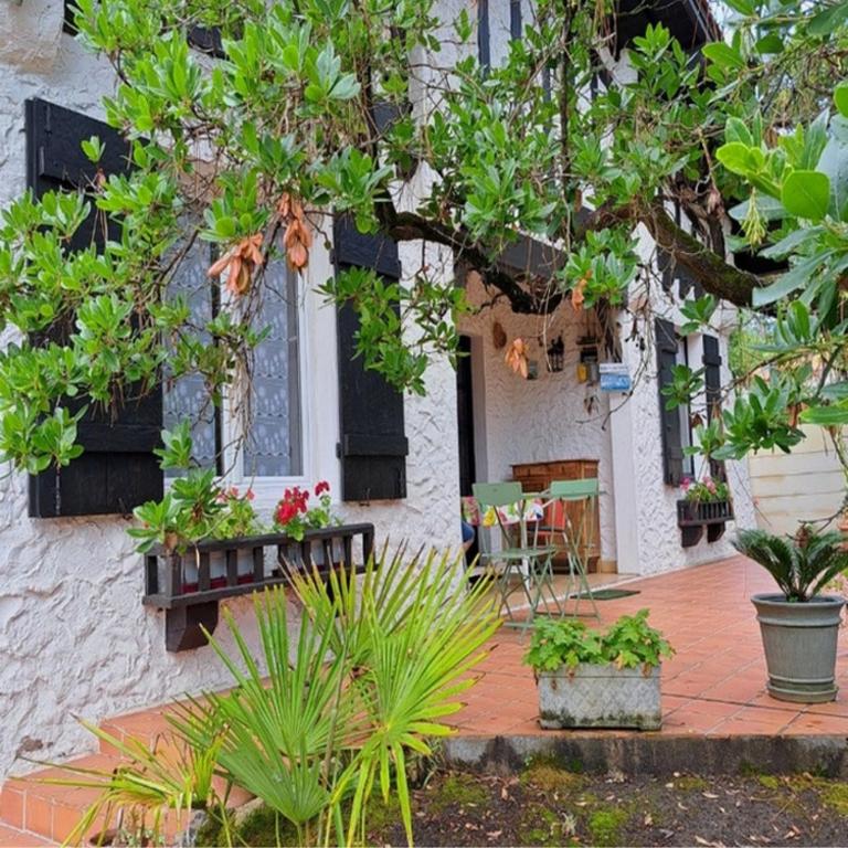 Agréable maison au Pyla sur mer 6 personnes - 2