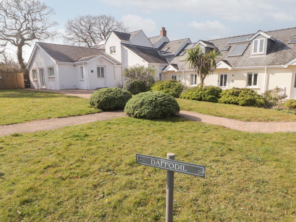 Daffodil Apartment, Tenby