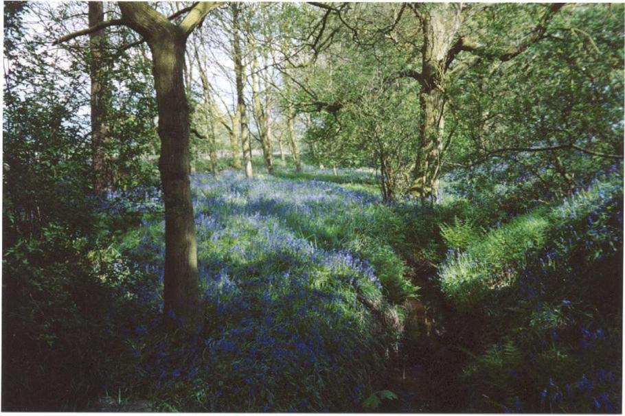 BroomfieldBarns1A, Swettenham