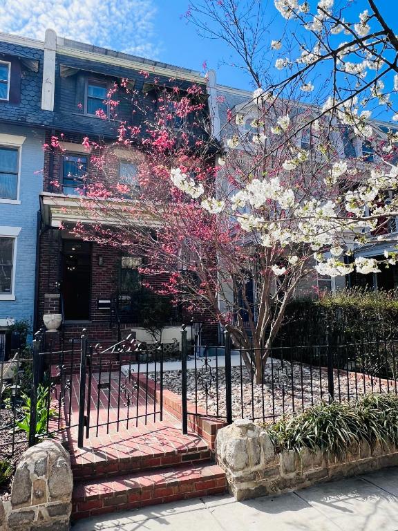 Amma's Place, Washington