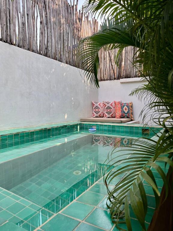 Casa Coconut - 2