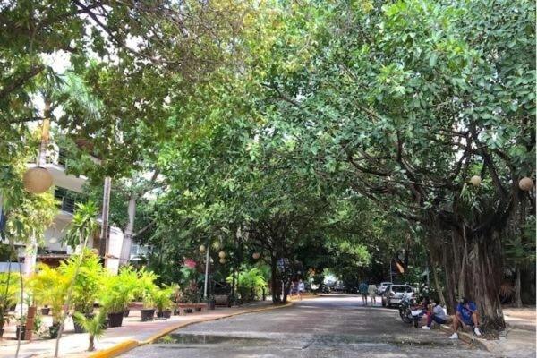 Charming 1 BR apartment near 5th Ave - LCondos 202 - 2