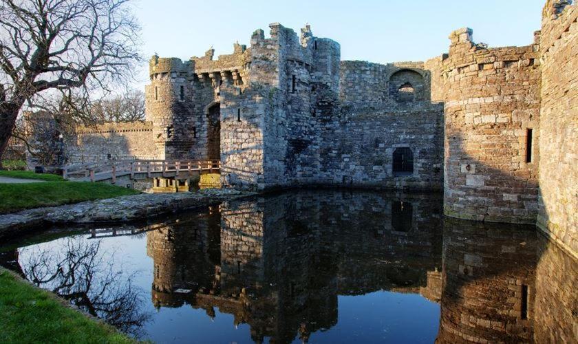 アクティビティ