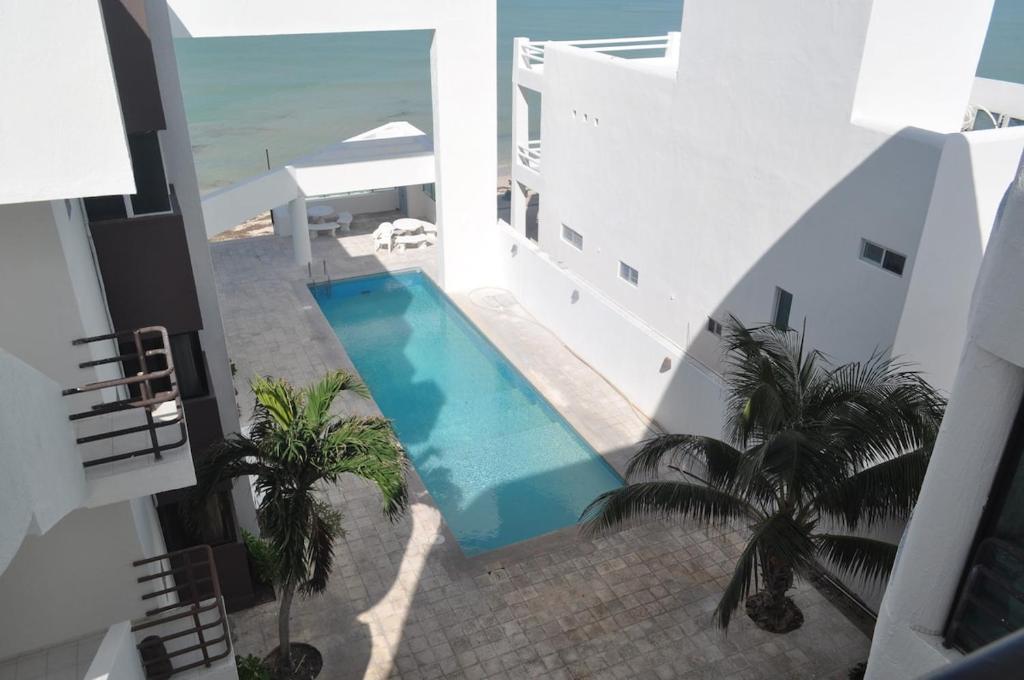 Paradisiac apartment facing the sea, Chicxulub
