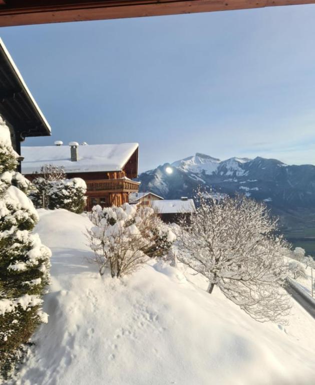 Grand appartement atypique à la montagne avec vue unique, Torgon