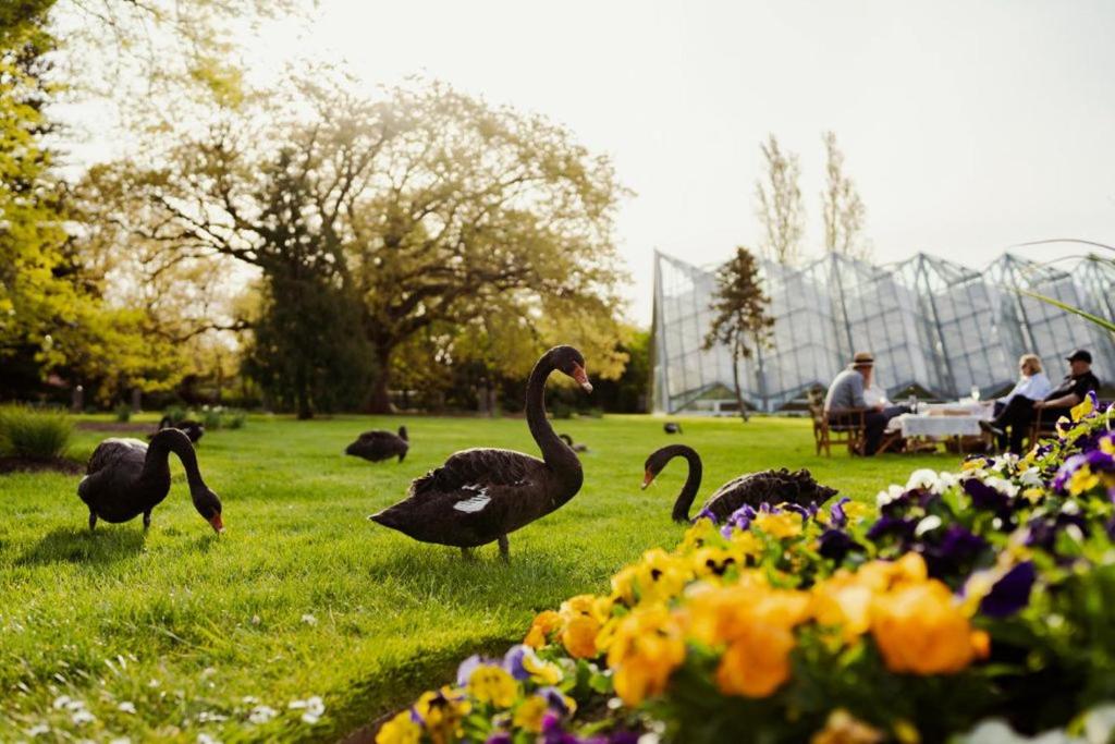 周辺観光スポット