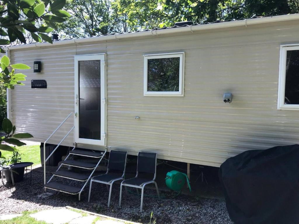 Badgers nestled in a cozy corner of the park, Wadebridge
