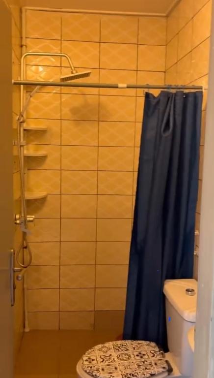 Ảnh 5