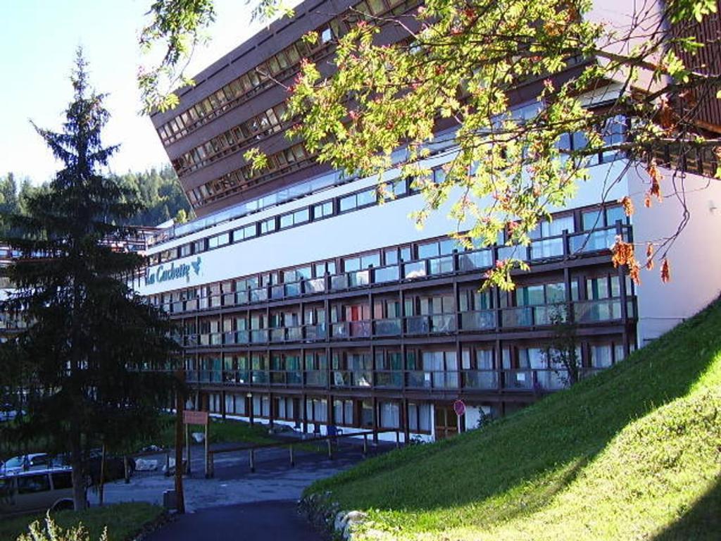 Appartement 2 pièces pour 6 à Arc 1600, proche piste, animaux admis - FR-1-411-337 - 4