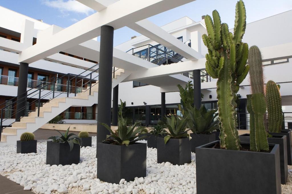 Hotel y Apartamentos Conilsol — Obiekt in Conil de la Frontera, Andaluzja
