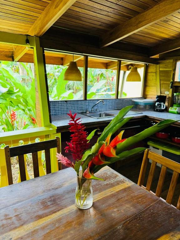 El Jardin de Playa Negra