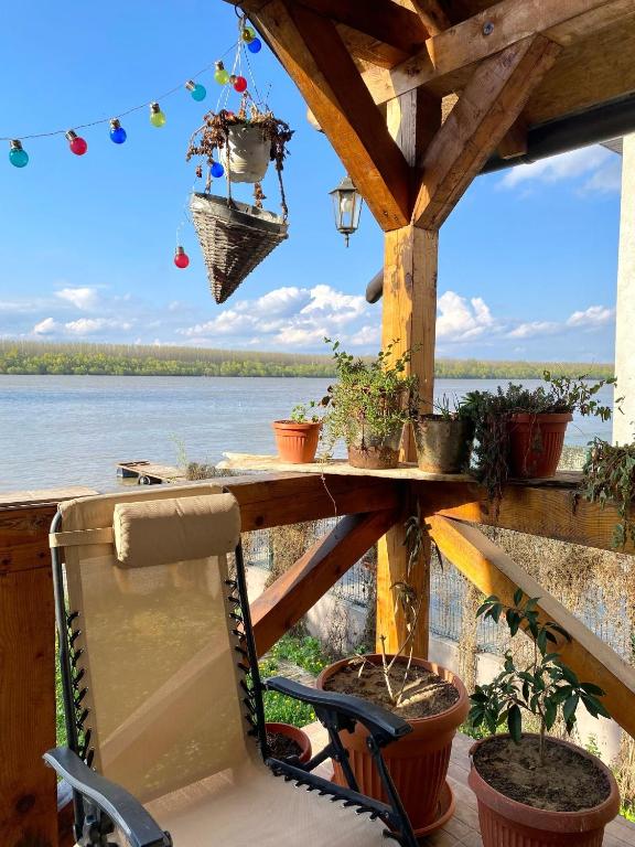 Bird of Paradise, Bělehrad