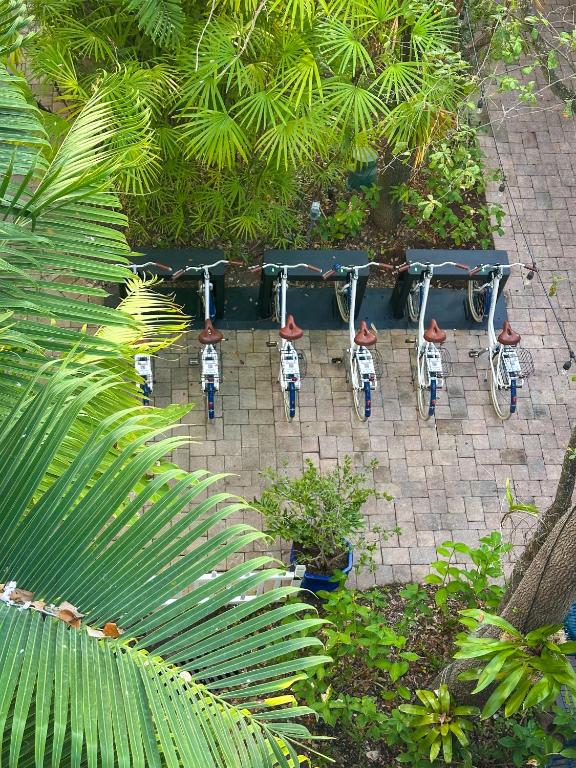 Sports and activities