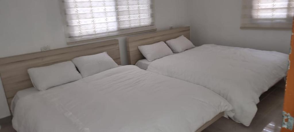 Ảnh 2
