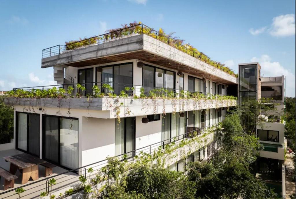 Tulum la Veleta Condo Best Sunrises & Jungle View near Holistika - 5