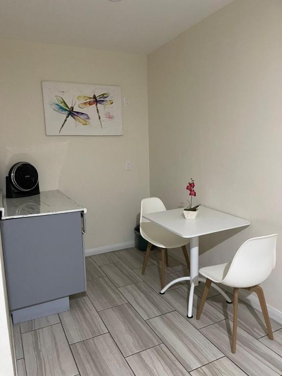 Constanza Lofts Executives en Zapopan Jalisco - 2