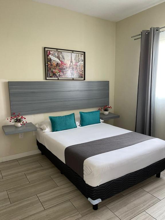 Constanza Lofts Executives en Zapopan Jalisco - 4