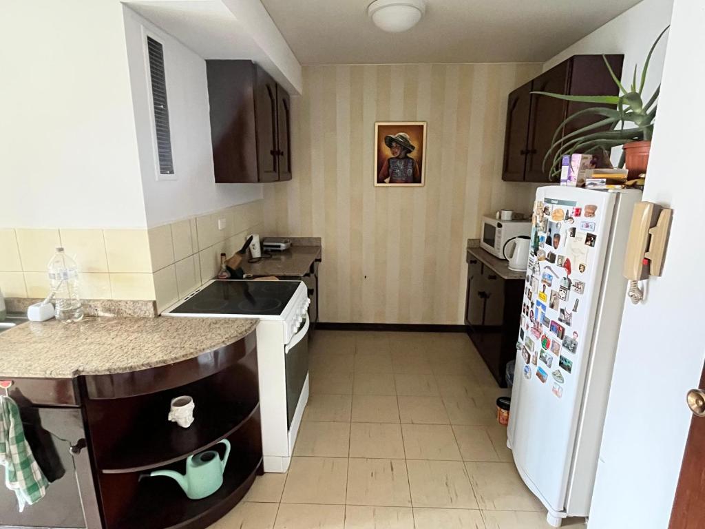 Soleado y completo departamento con vista Sopocachi - 5