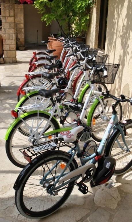 Thể thao và hoạt động