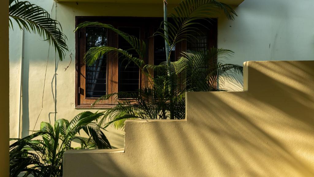 ทัศนียภาพ