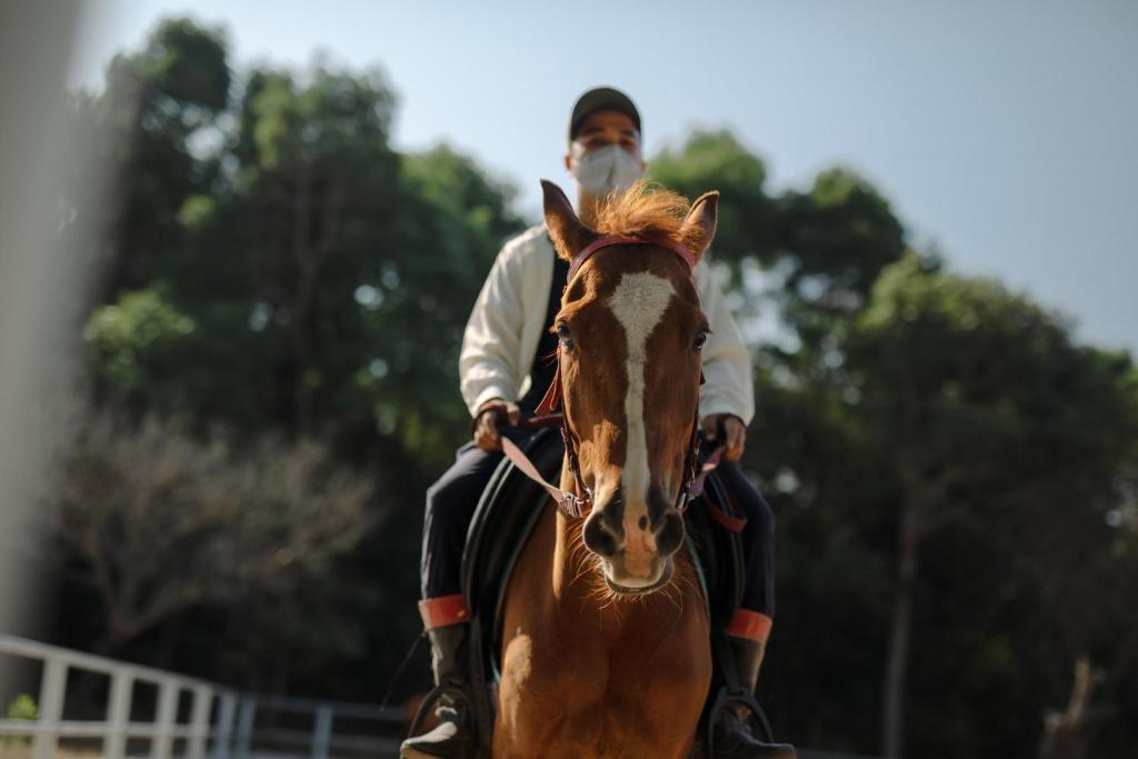 Equitazione/maneggio