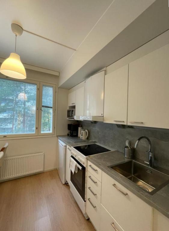 Kotimaailma Helsinki - tilava yksiö, Helsinky