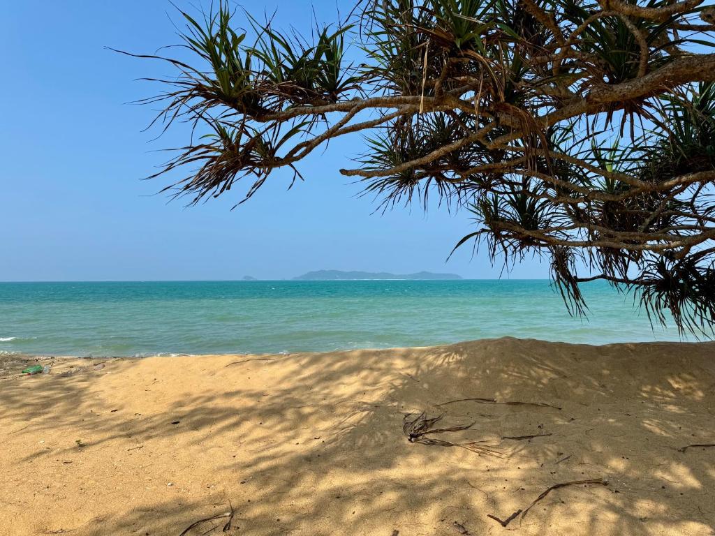 Surrounding environment