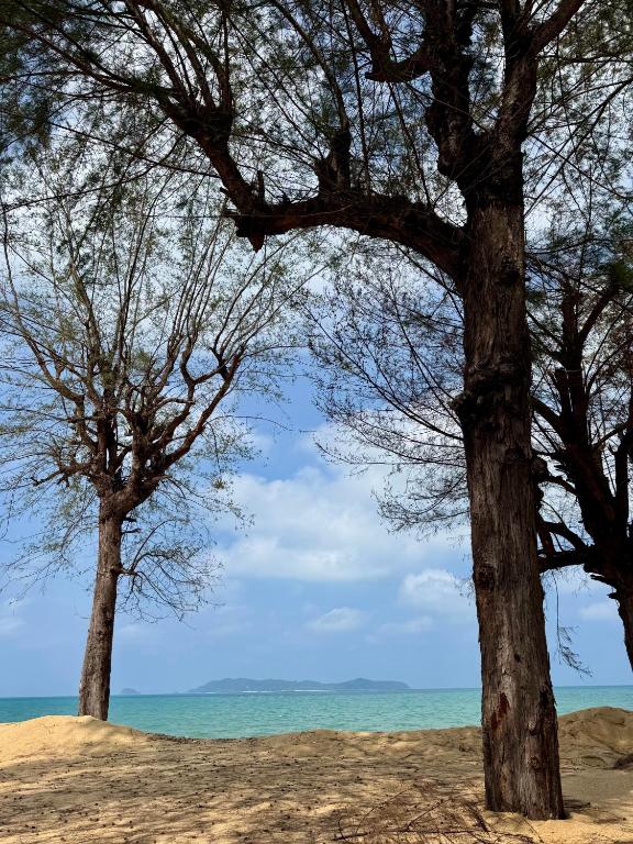 Surrounding environment