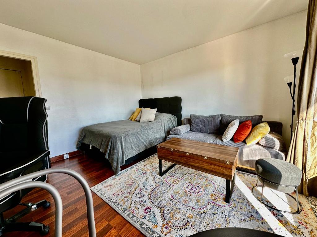 Charming Parisian apartment in the 15th arrondissement - 4