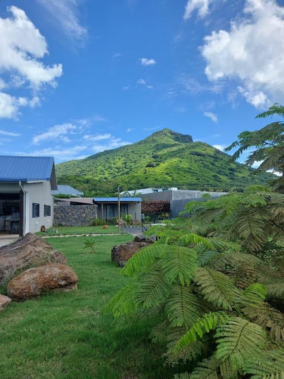 Cosy Studio, Tamarin