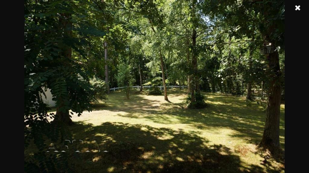 Maison d'architecte en forêt du Touquet - 4