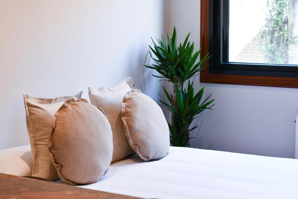 Estudio by Celta Home - 2
