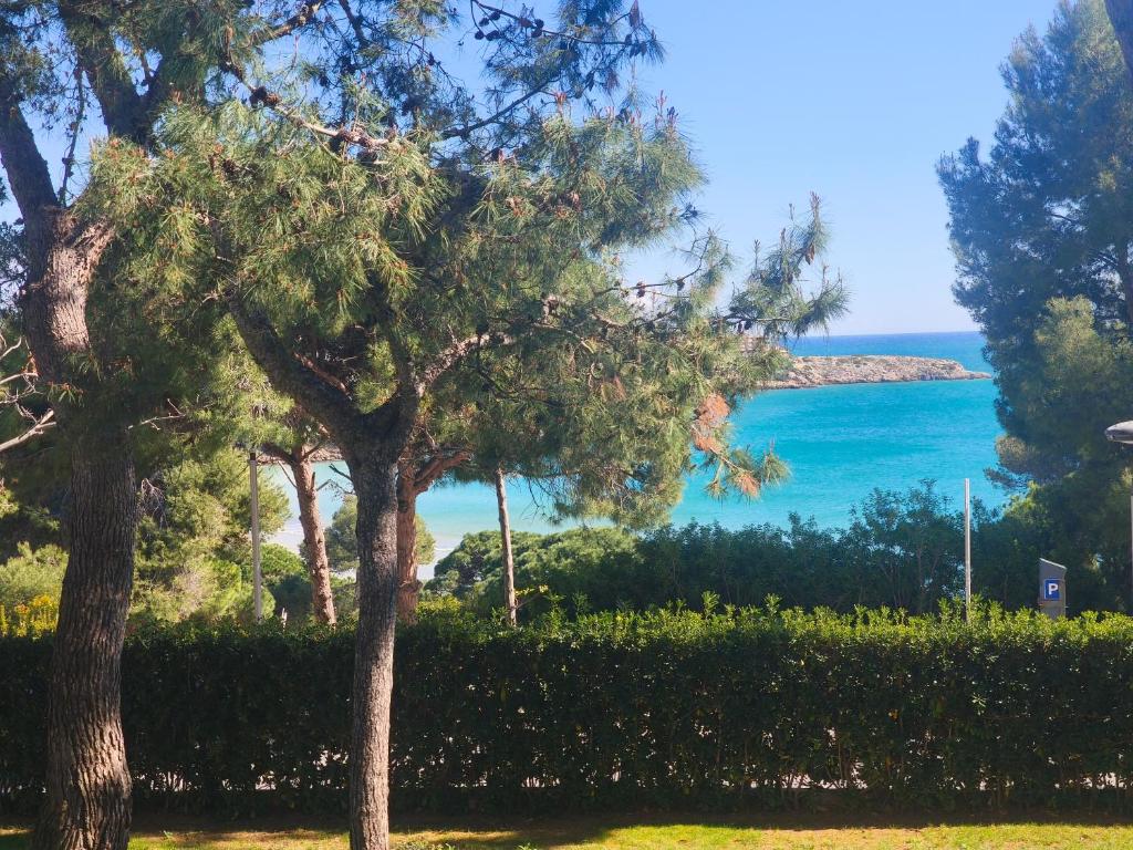 Beach & Flowers Free Parking - 4