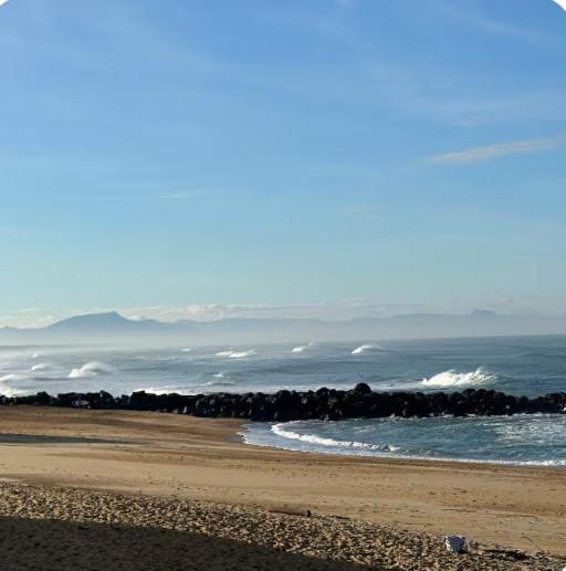 Appartement à 200 m de l'océan de Capbreton - 2