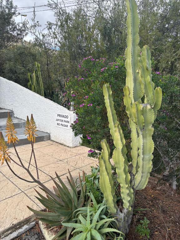 Casita Sea View Home Nestled in Hills with Rooftop Terrace - 5