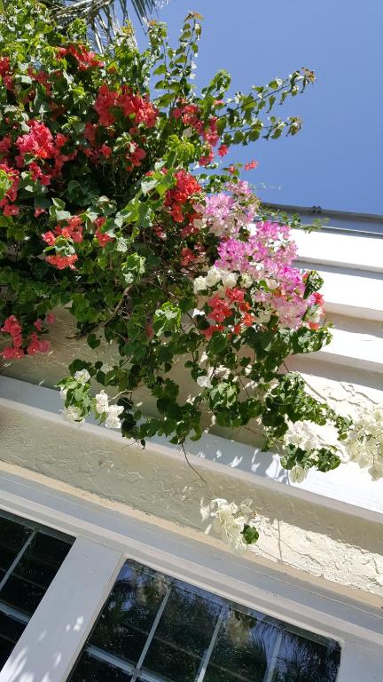 balkon/terras