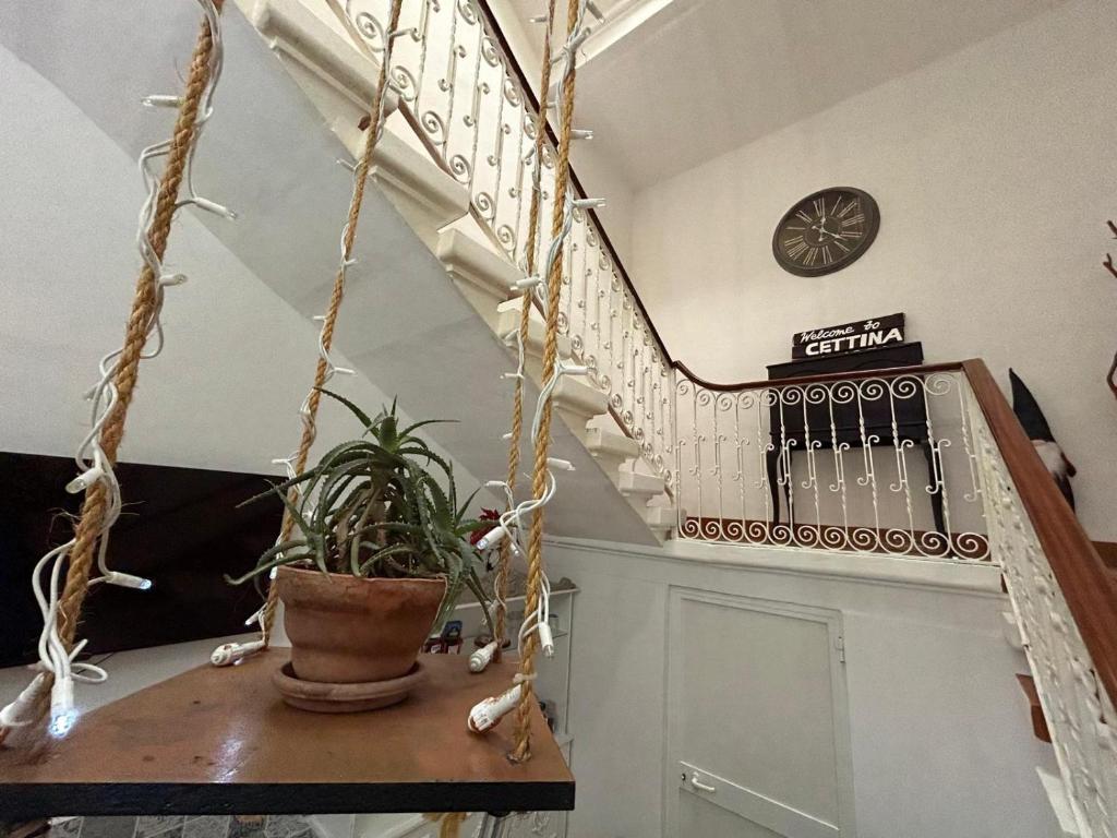 CozyNest B&B - Cettina, Gżira