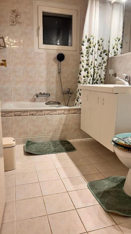 Bel appartement lumineux Monthey Gare deux pièces & cuisine séparée - 3