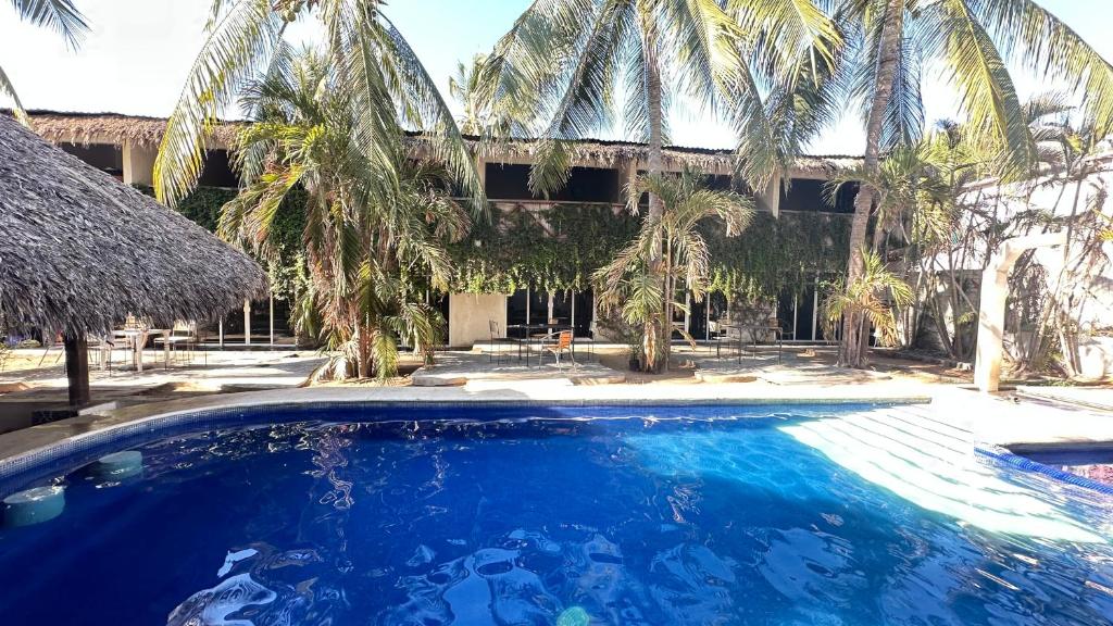 Arca, Brisas de Zicatela