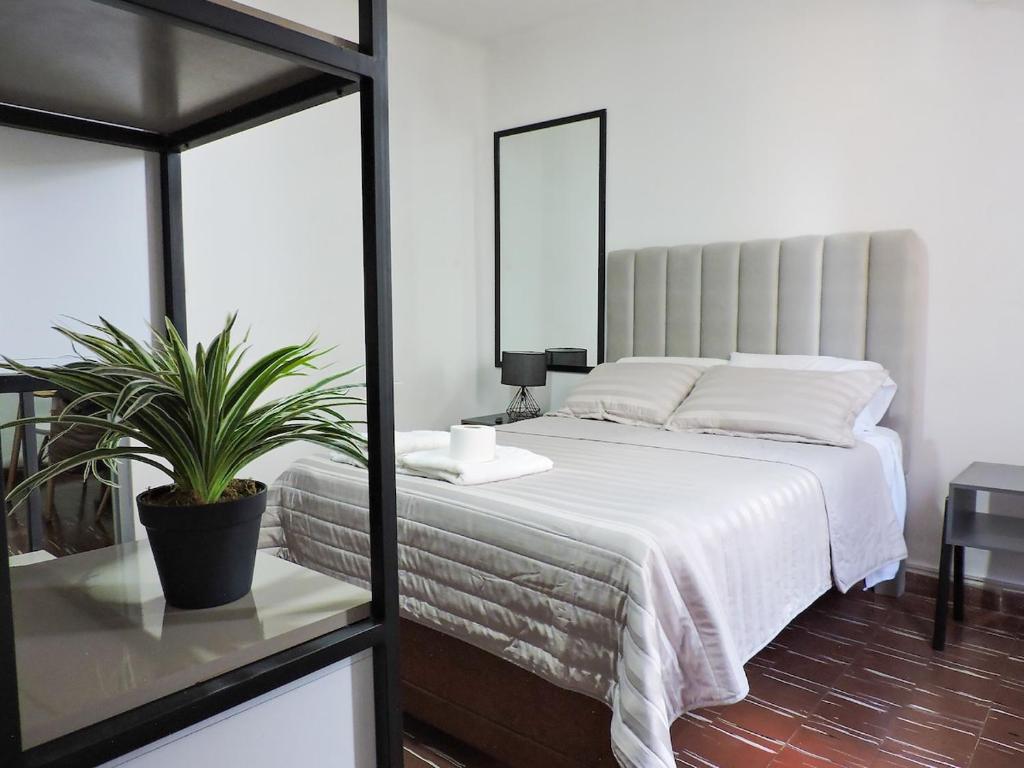 Estudio de Lujo, Cerca de la Plaza - 3