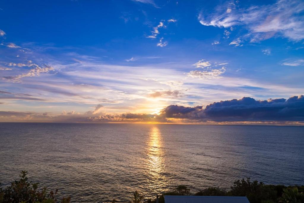 Cliff Top Escape, Curl Curl