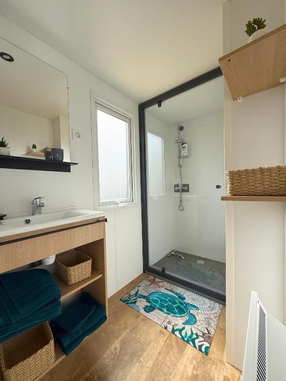 MobilHome de la Coccinelle - 4