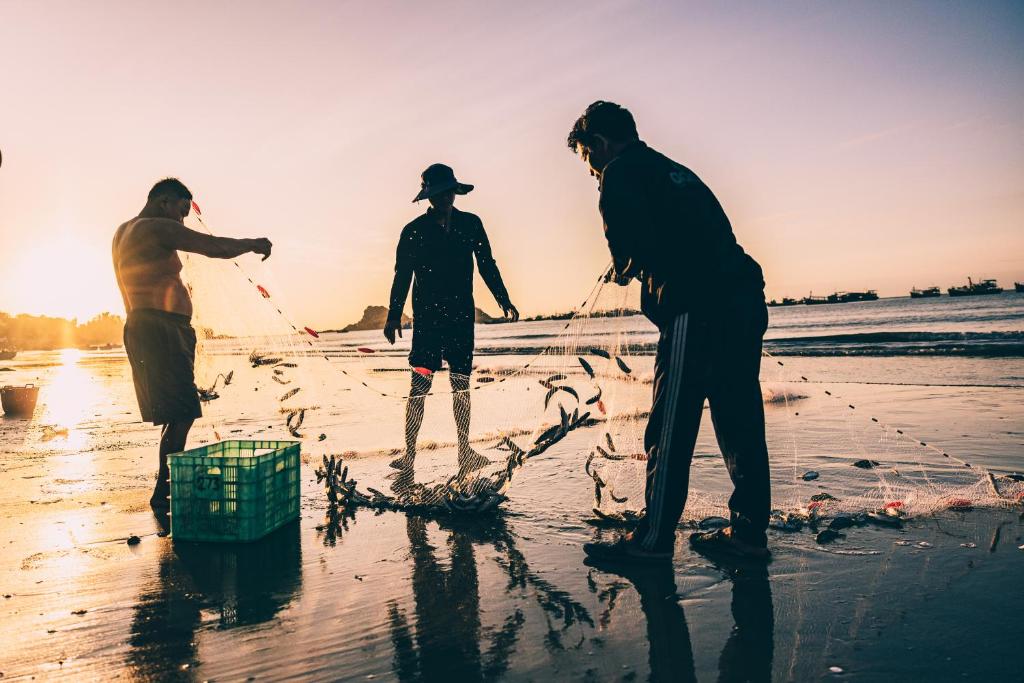 Surrounding environment