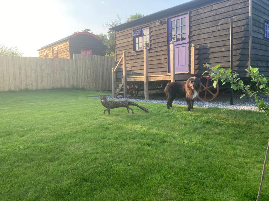Fox lodge Shepherd Hut Sidmouth, Sidmouth