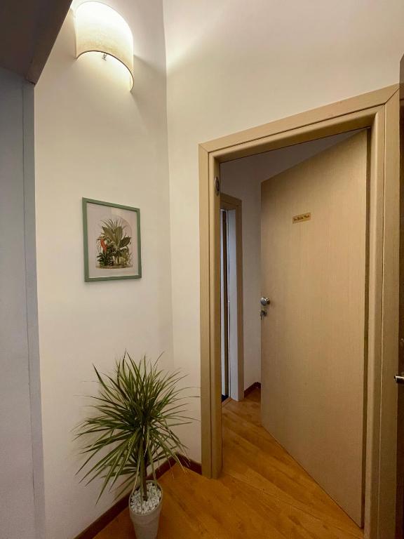 La bella Mati - 2