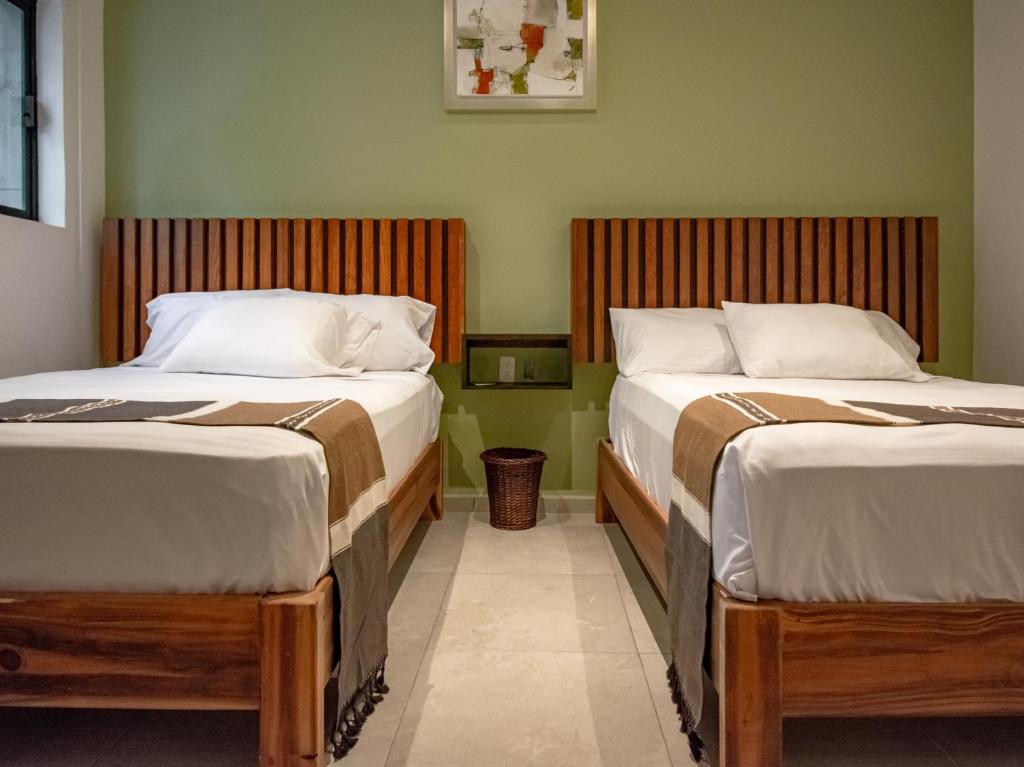 Collection O Hotel Lavanda Anzures - 3