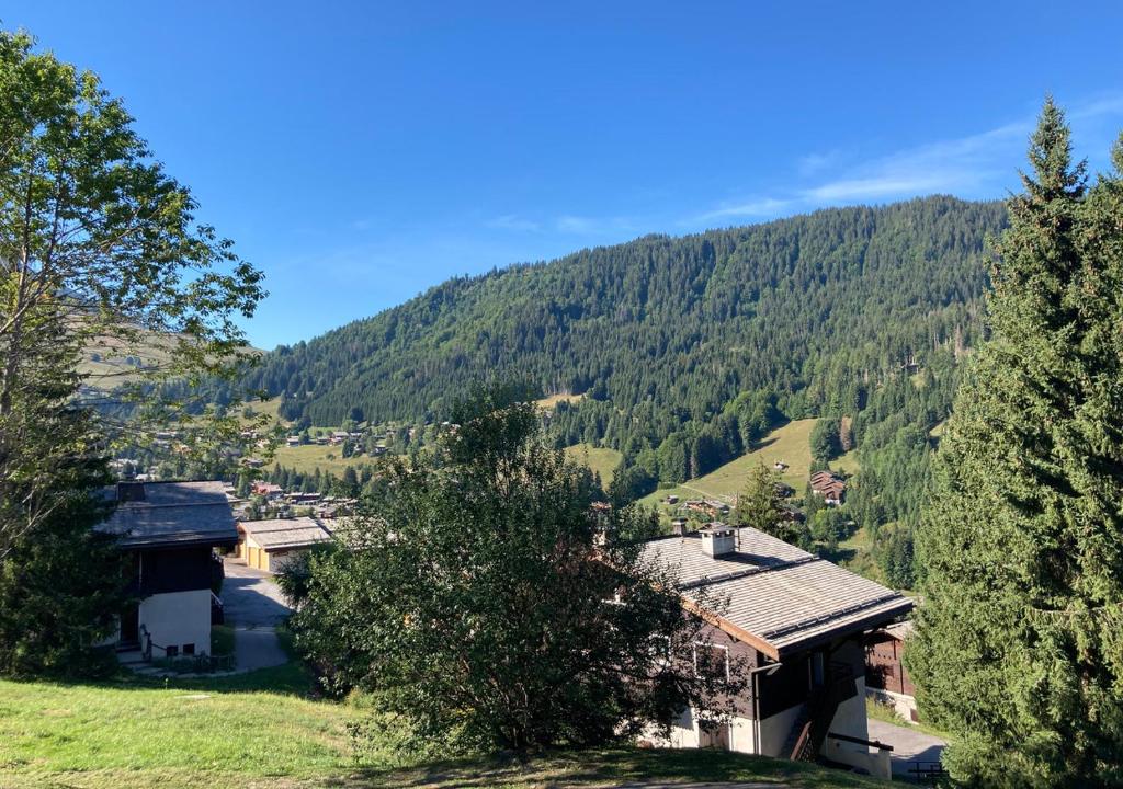 Appartement 6-7 pers, proche activités et loisirs d'été, La Clusaz