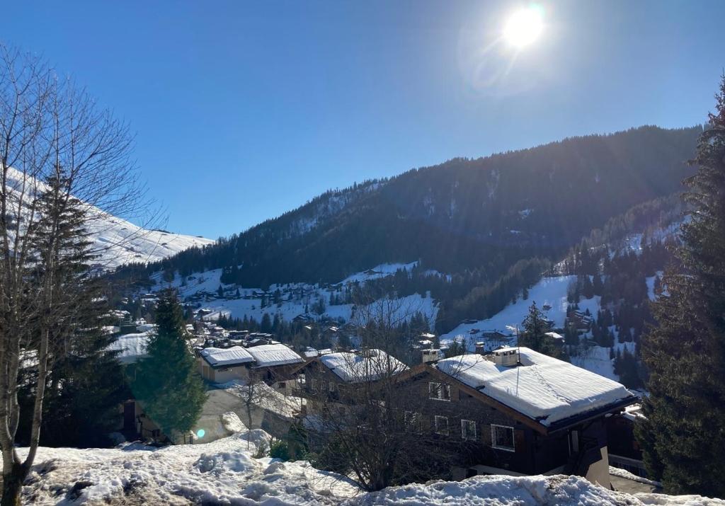 Appartement 3 pieces, proche des pistes, wifi et parking gratuit - 1