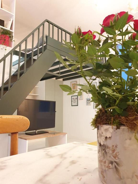 Bel appartement - Jardin des plantes - 3